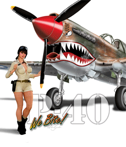 P40 series page